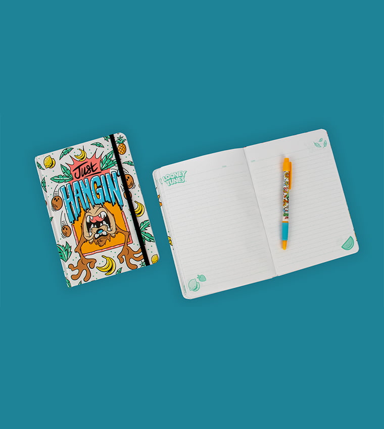 Looney Tunes A5 Casebound Notebook Taz